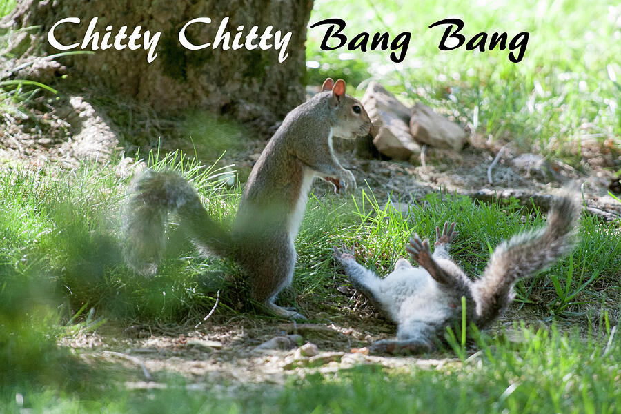 Chitty Chitty Bang Bang by Daniel Friend