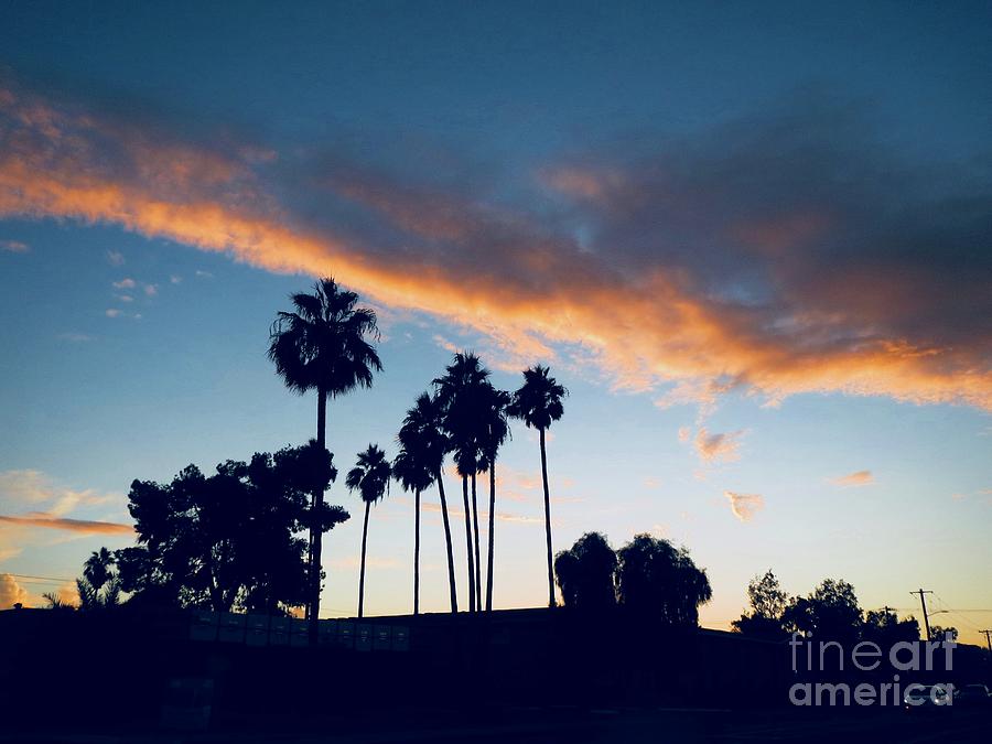 Clouds/Sunset Photograph by Zshop -