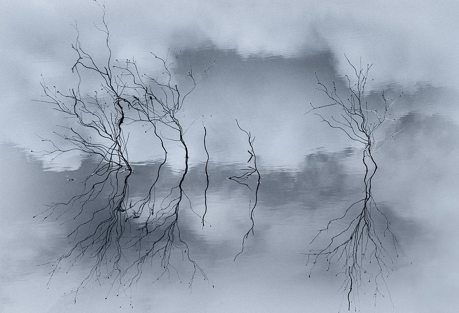 Cold Reflection Photograph by Pphgallery - Pixels