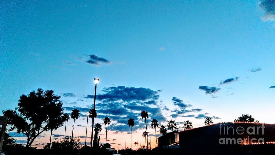Dusk Photograph by Zshop -