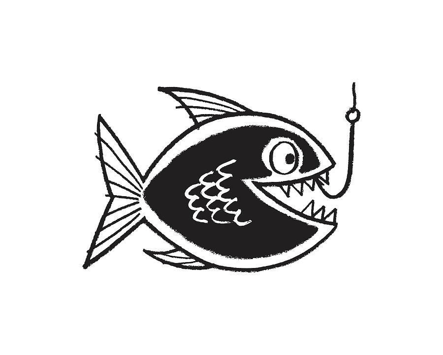 banshee fishing reel Best Fishing Gear for the Lowcountry: Ultimate Tackle Box Essentials
