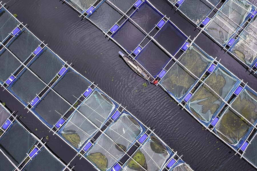 Floating Fish Hatchery Photograph by Anisur Rahman - Pixels