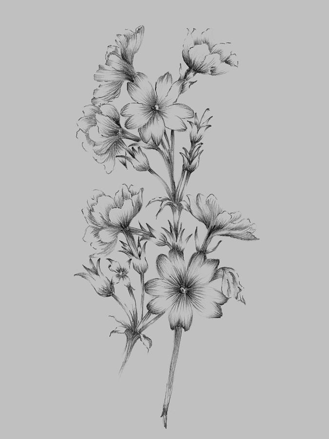Flower Drawing II Mixed Media by Naxart Studio - Pixels