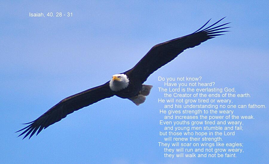 Inspirational Verses by John Hughes
