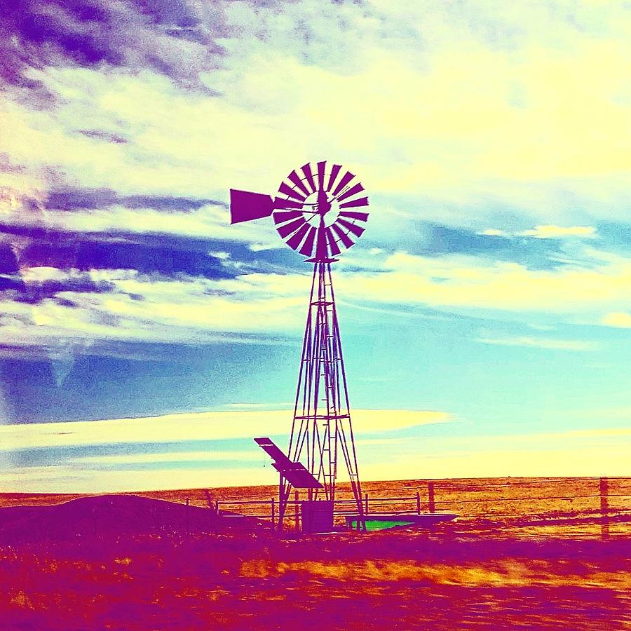 Out West by Madeline Dillner