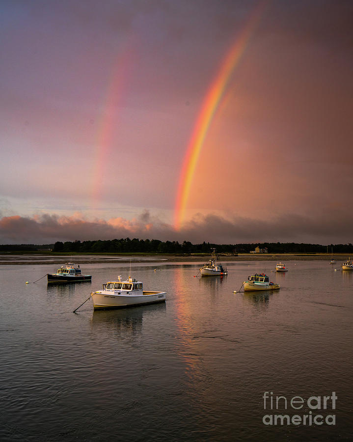 Pine Point Rainbow by Benjamin Williamson