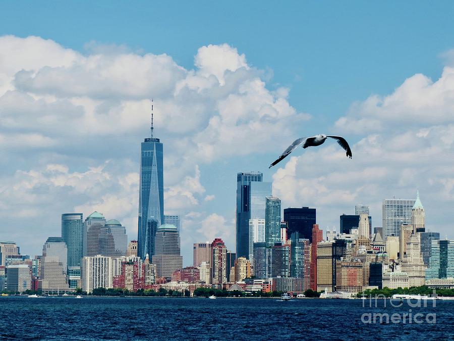 Skyline Photograph by Zshop -