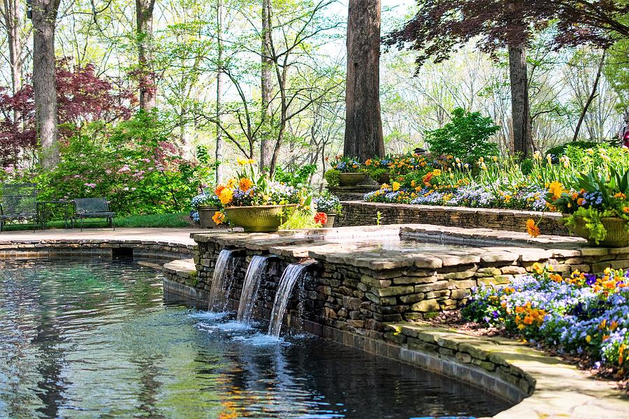 Springtime by the Pool by Mary Ann Artz