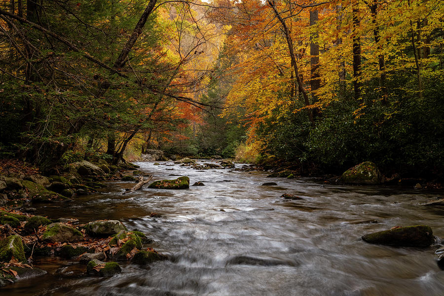 Fall scenes along Bear Creek #2 by Dan Friend