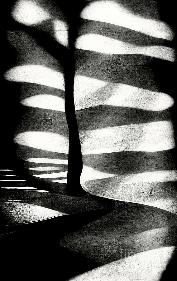 Shadow and light #3 Digital Art by Sabantha - Pixels