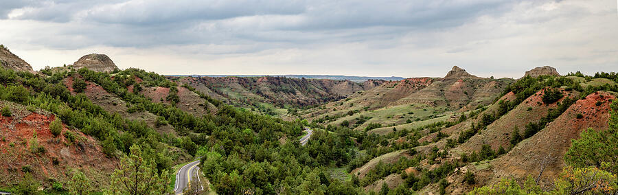 A Road Through Roosevelt NP by Bill Gallagher