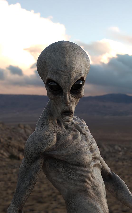 Area 51 Alien by Thomas Hauser