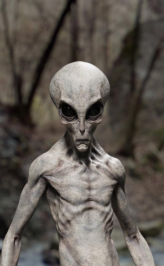 Area 51 Alien - In the Forest by Thomas Hauser