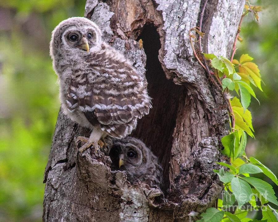 Checking Out the World by Jane Axman