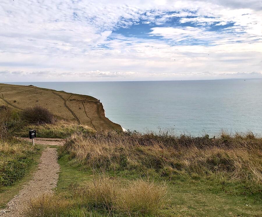 Coastal Cliffside Pathway Photograph by Sybil Tester - Pixels