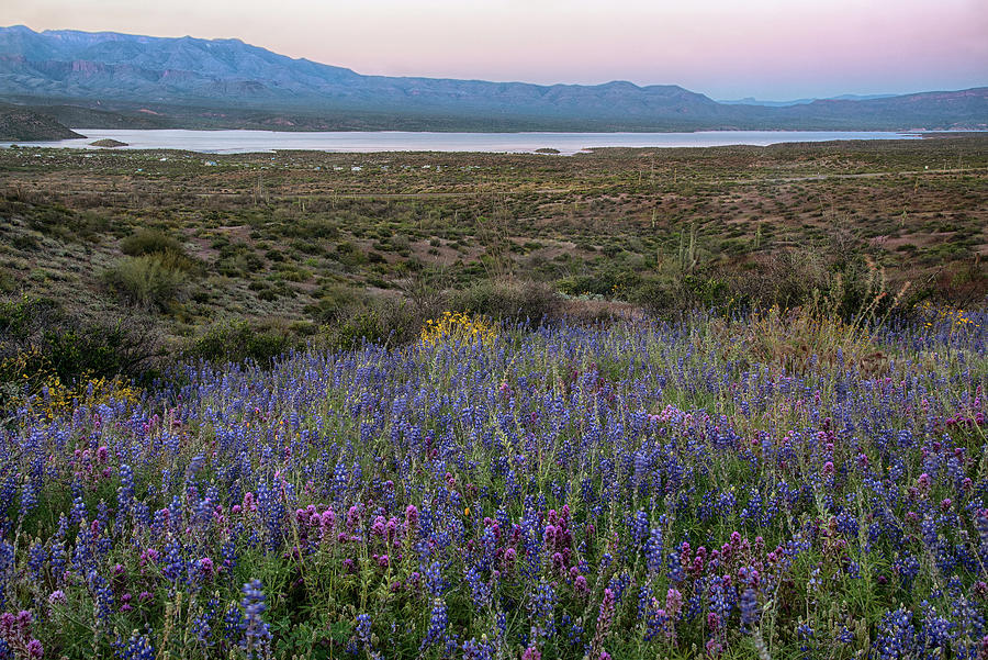 Eartth shadow at sunset over Roosevelt Lake by Dave Dilli