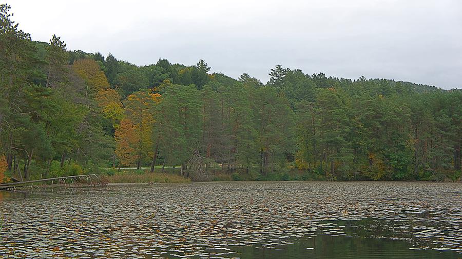 Fall in Quechee, VT by Adam Gladstone