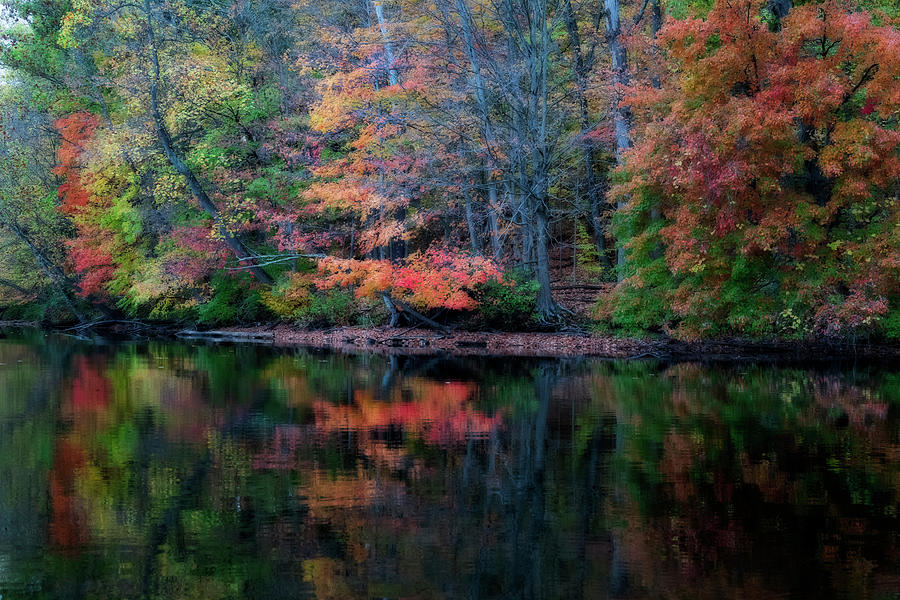 Fall reflections in the water by Dan Friend