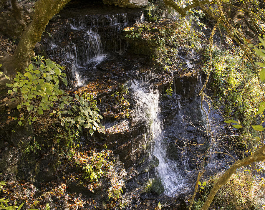 Forest Waterfall in Sunlight Photograph by Joshua Katcha - Pixels