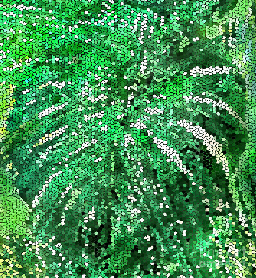 philodendron micans plant Philodendron Micans  Lost in the Forrest