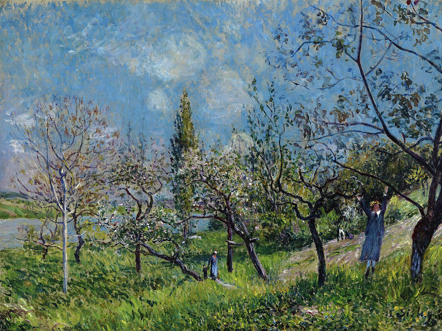Orchard in Spring 1881 by Alfred Sisley