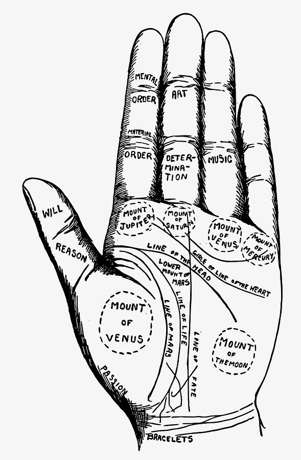 Palmistry Guide Hand Diagram Digital Art by Tom Hill - Pixels