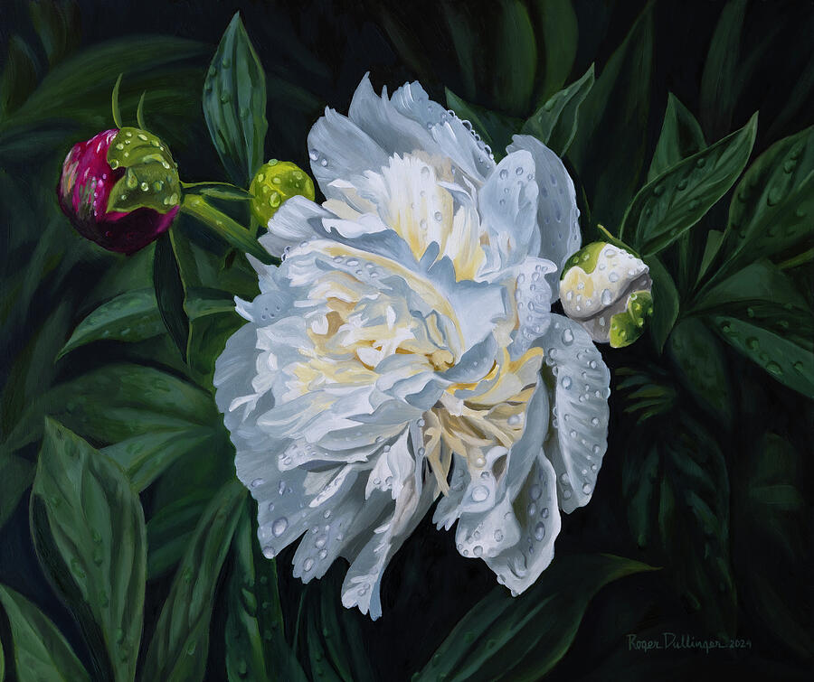 Rainy Day Peony by Roger Dullinger