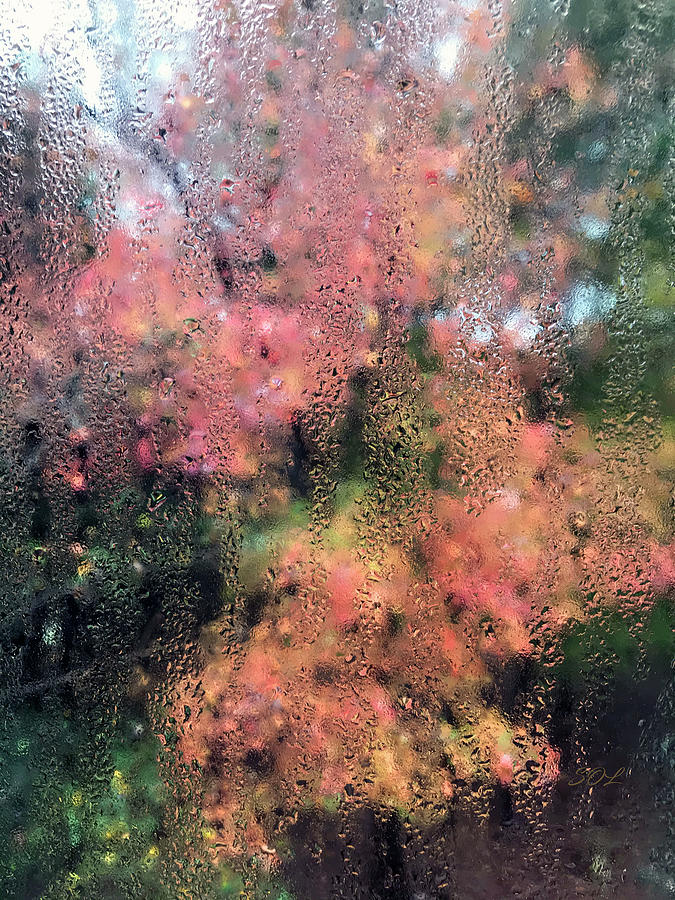 Rainy Fall Window View Through Condensation by Sandi OReilly