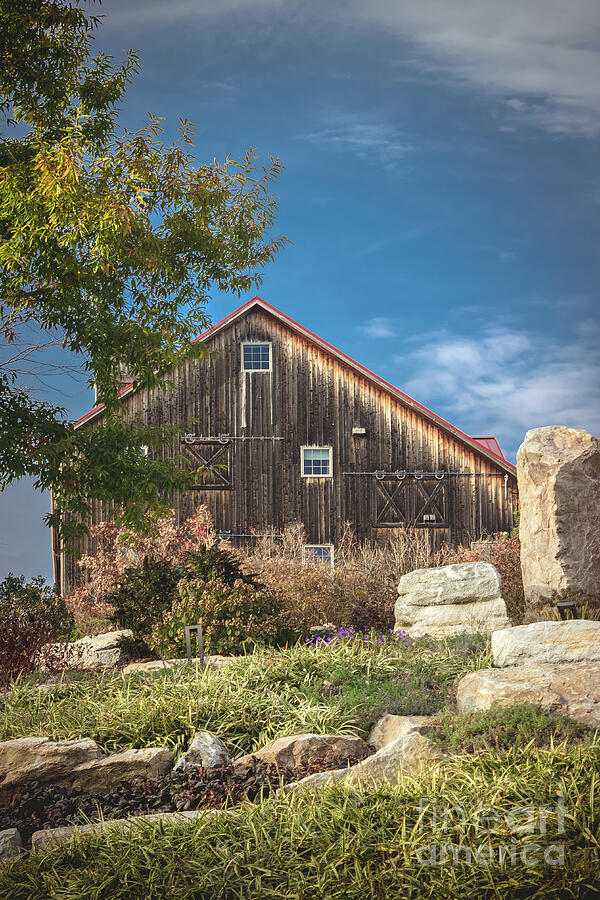 Rustic Barn and Garden Scene Photograph by Colleen Kammerer - Pixels