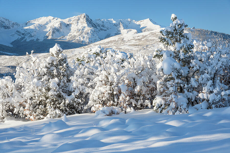 Snowy Day by Angela Moyer