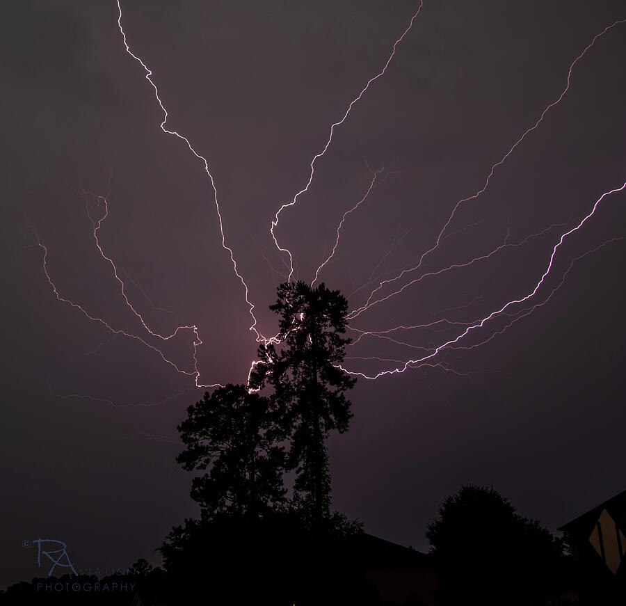 Lightning Over Lone Tree Photograph by Chuck Rouse - Pixels