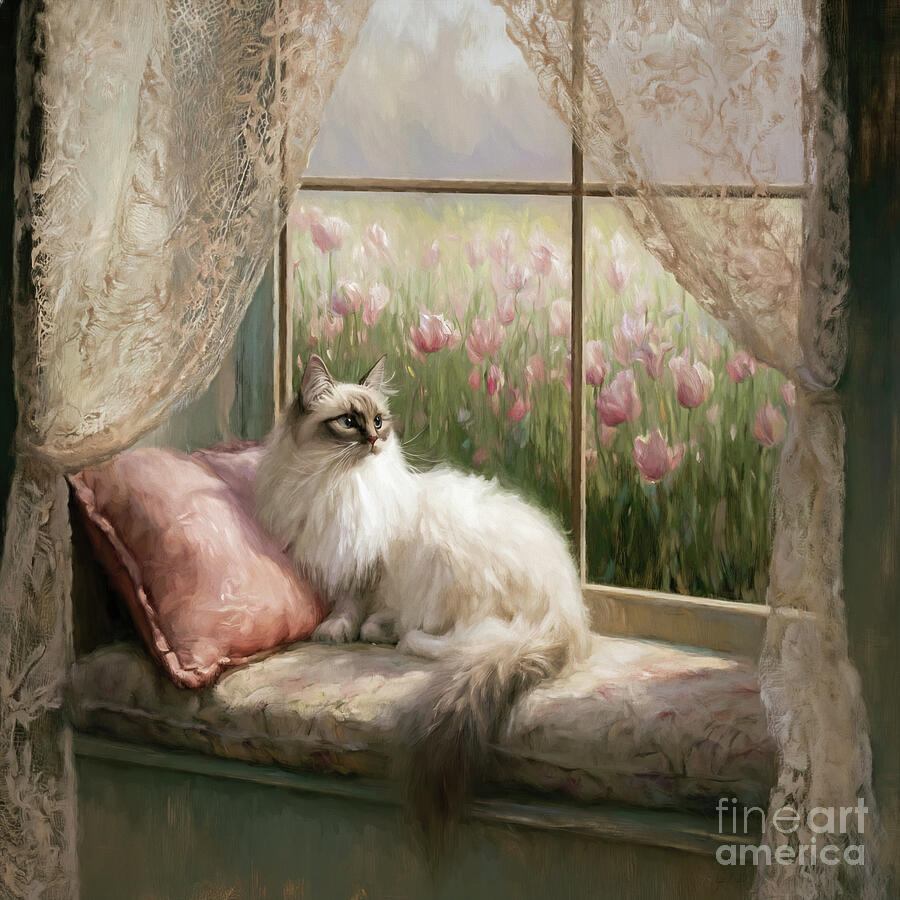 The Cat