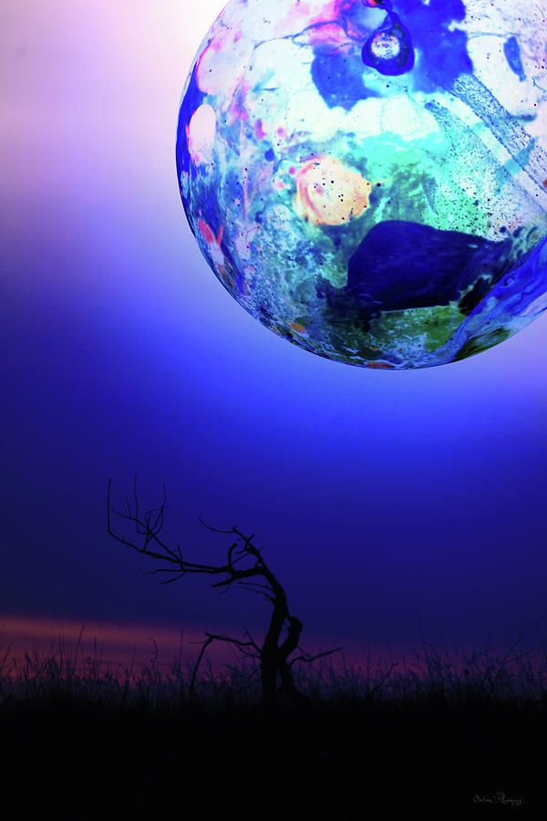 The Dead Tree Shadow by Andrea Lawrence