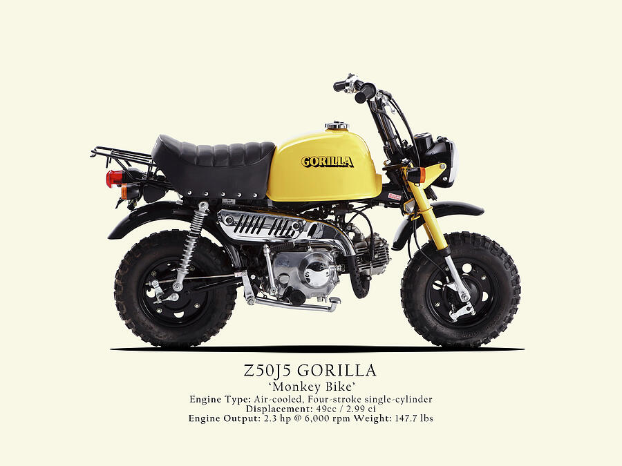 The Monkey Bike by Mark Rogan