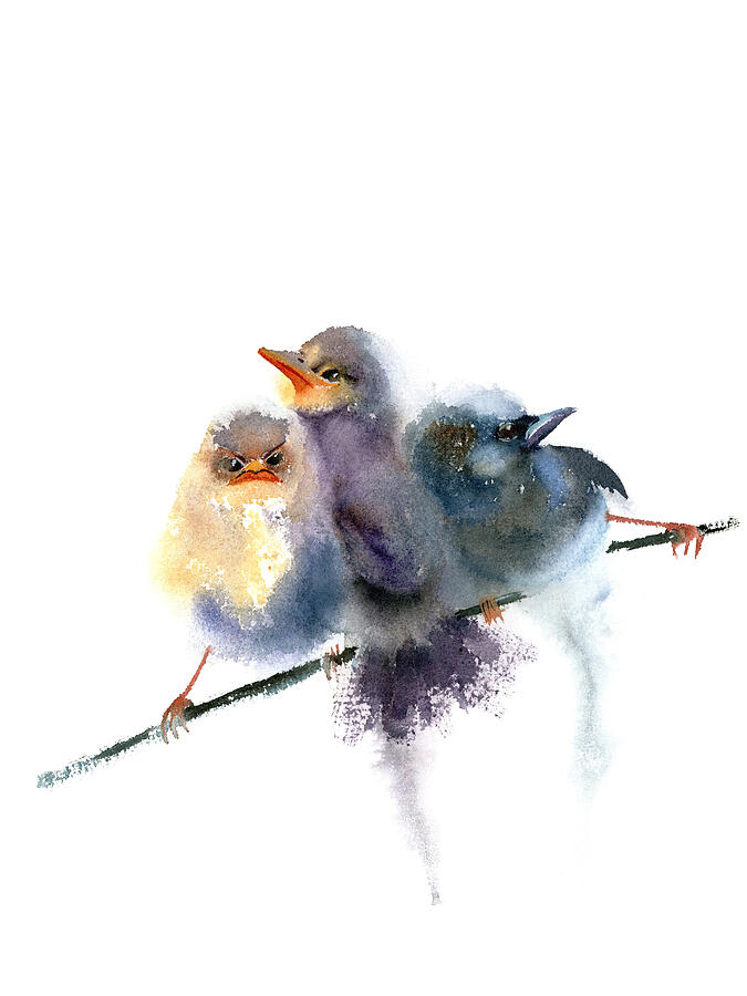Three Birds by Olga Tchefranov