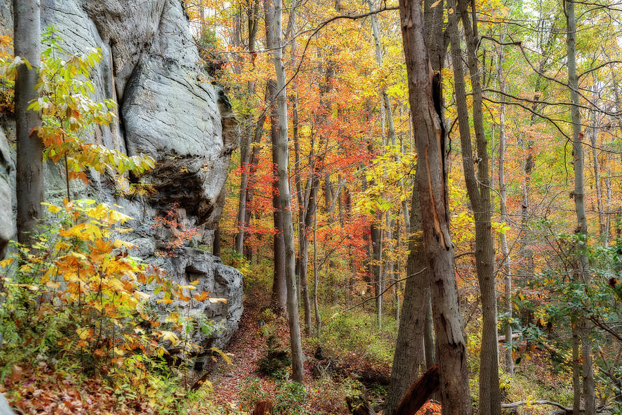 Trail along the large rocks by Dan Friend