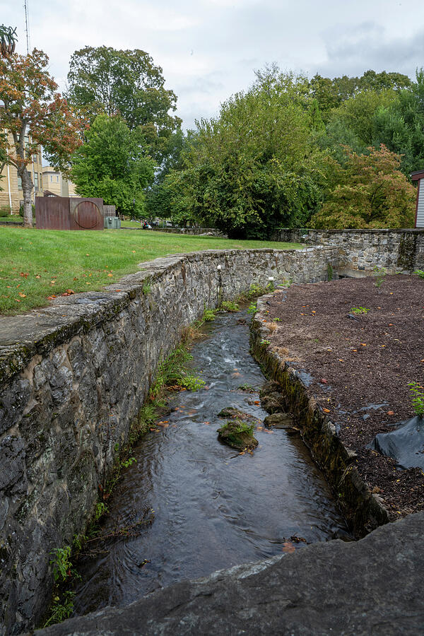 Tranquil Stone-Walled Stream by Dan Friend