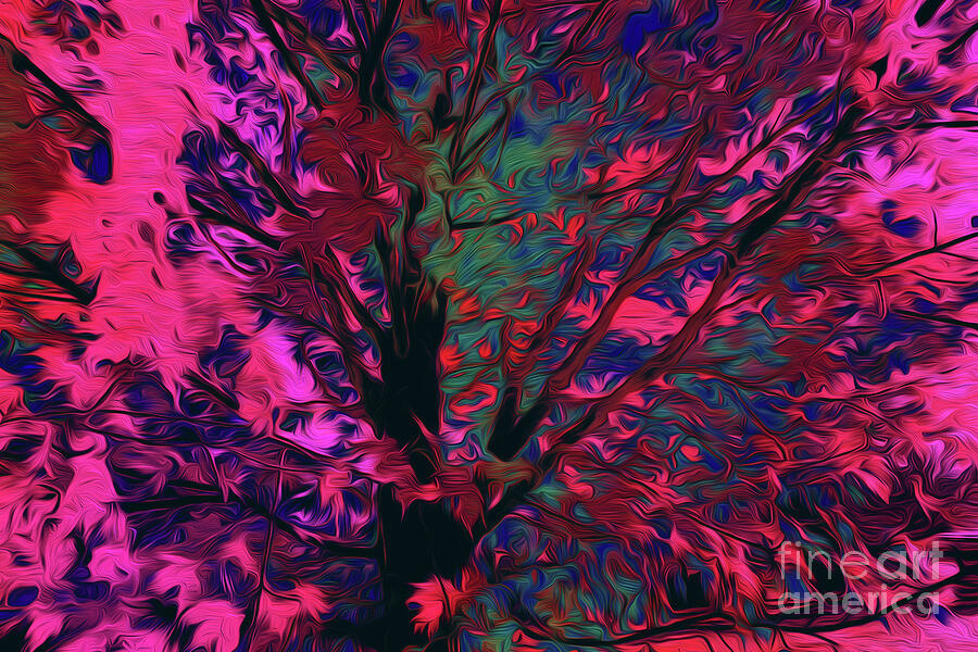 Trees fall colors 96 Vibrant Abstract Tree Digital Art by Chris Taggart ...