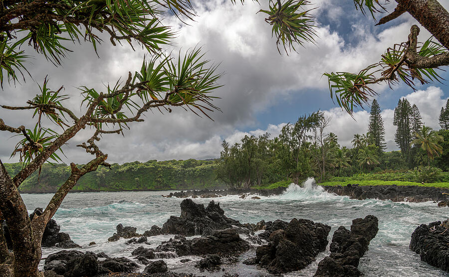 Tropical Paradise by Michael Smith