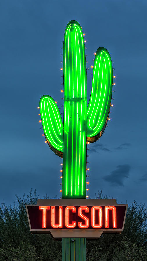 Tucson Neon Cactus by Stephen Stookey