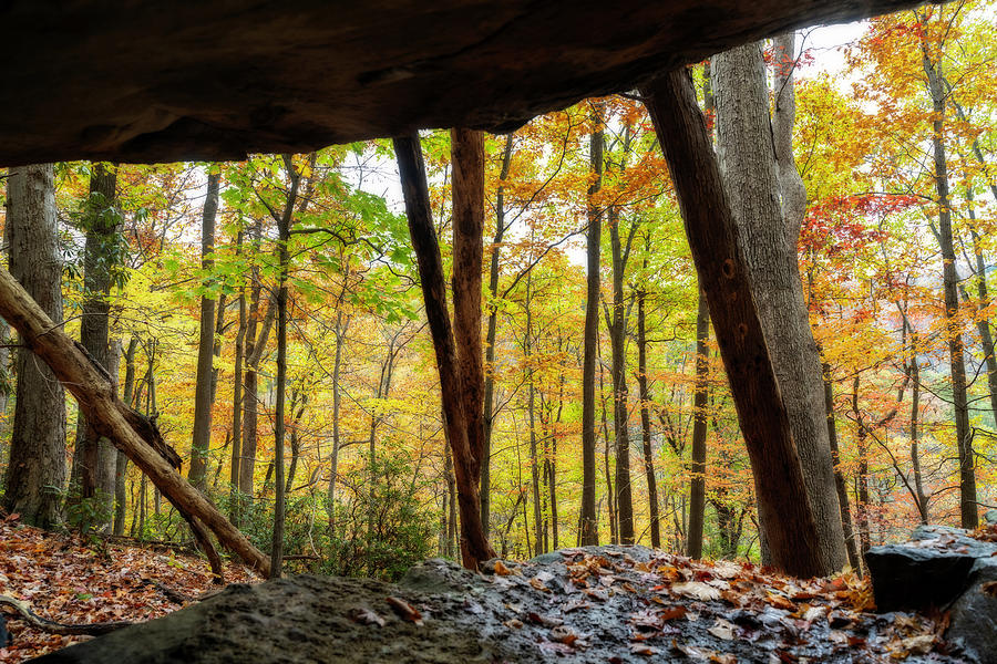 View out from under the rock ledge by Dan Friend
