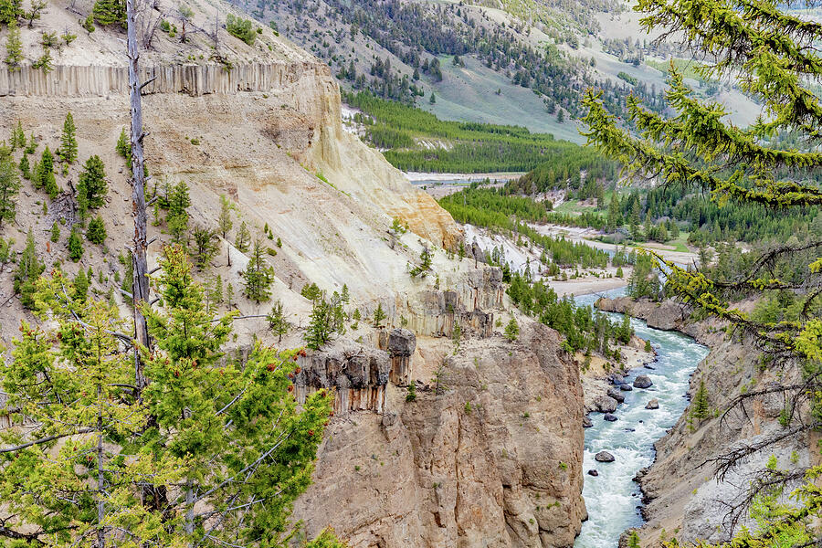Yellowstone River From Tower Fall by Bill Gallagher