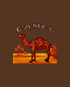 Camel Cigarettes Metal Print
