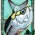 A Tarpons Life