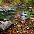Beaver's Bend Tiny Stream