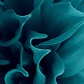BlueFlow by Steven Robiner
