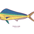 Mahi-mahi