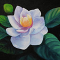 Beauty unfolds