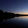 Dark trees on water