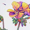 Geranium Interpretation by James W Johnson
